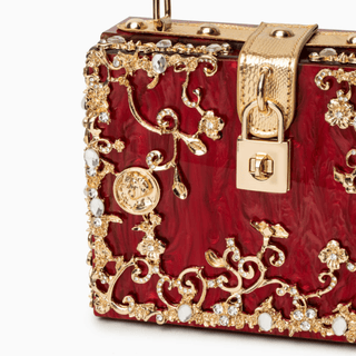 Lucciz Acrylic Box Handbag - Lucciz